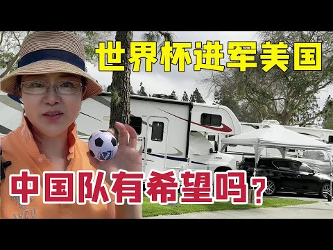 霍芬海姆对,阵勒沃库森,德甲第,博鱼体育官网,博鱼体育app,博鱼体育APP下载